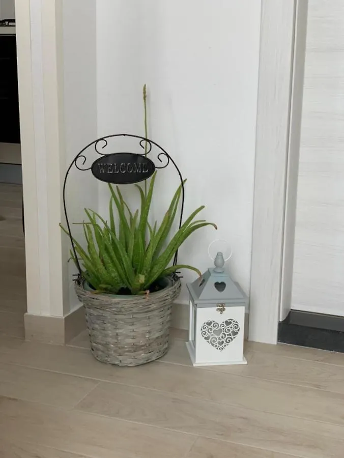 Apartment Salov Trogir